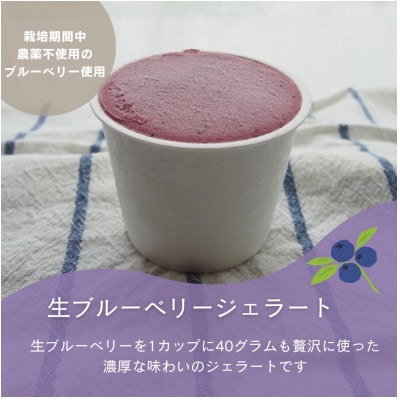 栽培期間中農薬不使用ブルーベリー使用!濃厚手作りジェラート食べ比べ6個セット