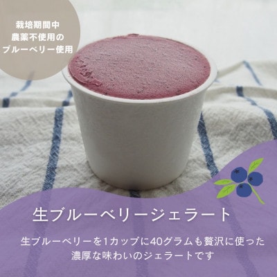 ブルーベリー農園とジェラート専門店がコラボして作った!生ブルーベリージェラート6個入り