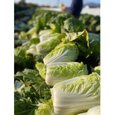 久松農園の季節の野菜詰め合わせ
