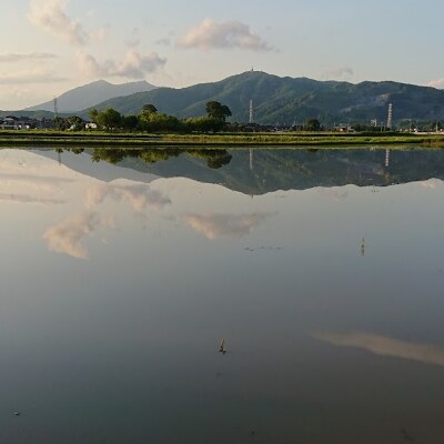 【筑波山麓】土浦市産ブレンド精米30kg(5kg×6袋)