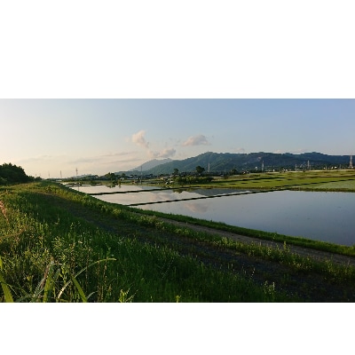 【9月以降発送】玄米30kg 筑波山麓土浦市産コシヒカリ　石抜き・色彩選別機処理済み