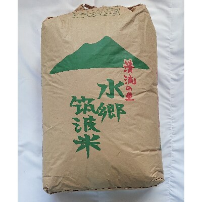 【筑波山麓】令和2年産コシヒカリ検査一等30kg玄米　ホタルが舞う里のお米