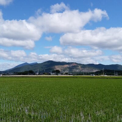 7月発送【ホタルの里厳選米】令和2年茨城県土浦市産コシヒカリ精米5kg