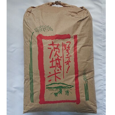 【11月発送コシヒカリ玄米30kg】令和3年筑波山麓ホタル舞う土浦市産　石抜き・色彩選別機処理済み