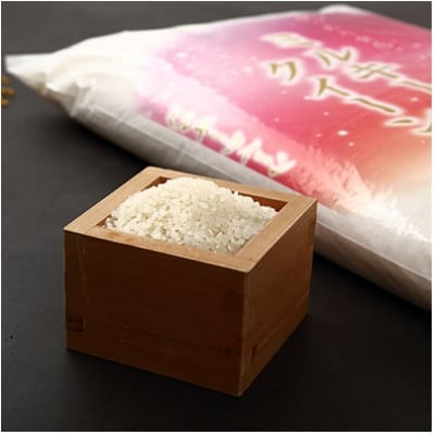 【11月中旬から発送】ミルキークイーン精米10kg  令和4年茨城県産　冷めても美味しいと評判のお米