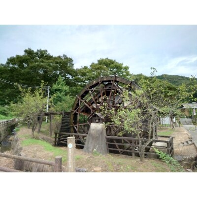 【12月中旬より発送】令和4年茨城県産ミルキークイーン　精米5kg
