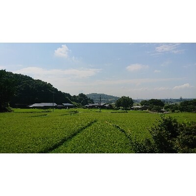 【11月中旬より順次発送】令和4年茨城県産あきたこまち 精米20kg