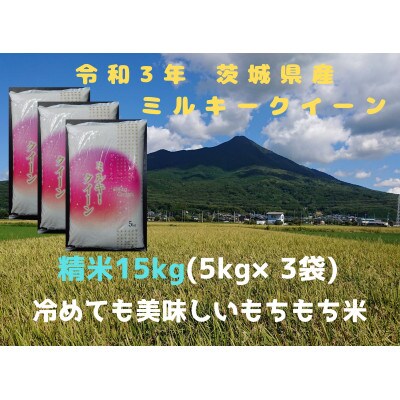 【1月-2月順次発送】精米15kg　令和3年産ミルキークイーン　冷めても美味しいもちもちなお米