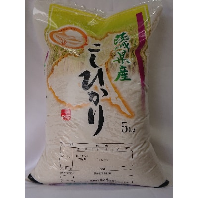 【9月発送】精米20kg 令和3年土浦市産コシヒカリ ホタルが舞う里のお米