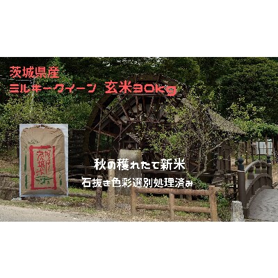 【10月～12月発送】玄米30kg 令和3年産ミルキークイーン 冷めても美味しいもちもちなお米