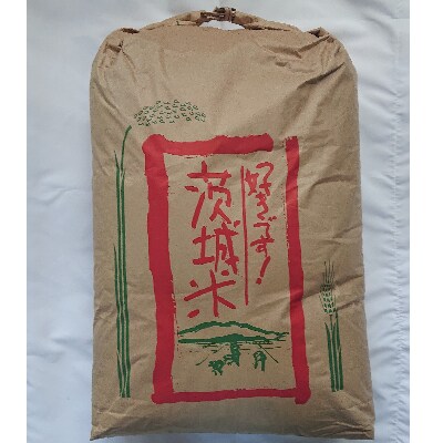 【10月～12月発送】玄米30kg 令和3年産ミルキークイーン 冷めても美味しいもちもちなお米