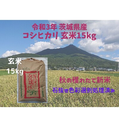 【11月中旬～12月発送】玄米15kg　令和3年土浦市産コシヒカリ　安心の石抜き、黒はん点米除去済み