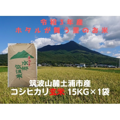 【1月下旬の発送】玄米15kg　令和3年土浦市産コシヒカリ　安心の石抜き、黒はん点米除去済み