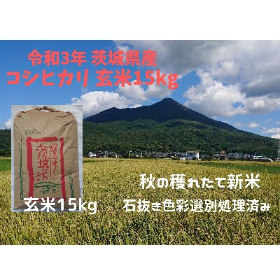 【2月中旬から発送】玄米15kg　令和3年土浦市産コシヒカリ　安心の石抜き、黒はん点米除去済み