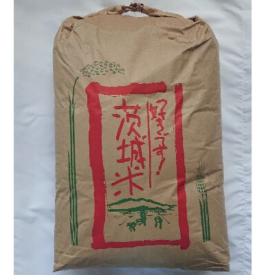 【2月中旬から発送】玄米15kg　令和3年土浦市産コシヒカリ　安心の石抜き、黒はん点米除去済み