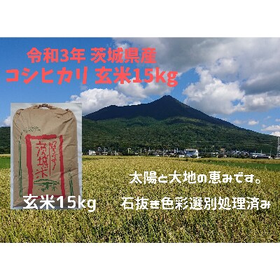 【令和4年2月発送】玄米15kg　令和3年土浦市産コシヒカリ　安心の石抜き、黒はん点米除去済み