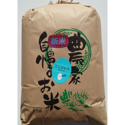 令和3年産　11月発送玄米10kg【筑波山麓】土浦市産コシヒカリ　石抜き・色彩選別機処理済み