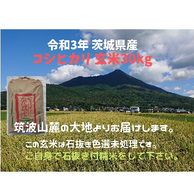 令和3年産玄米30kg　1-2月発送【筑波山麓】土浦市産コシヒカリ　石抜き無し・色彩選別機未処理