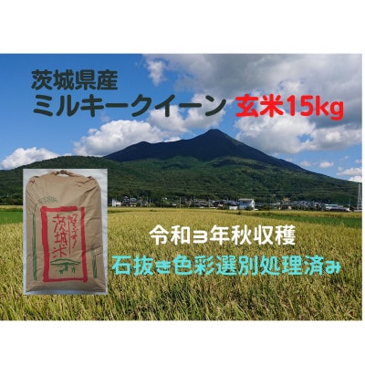 【5月中旬から発送】【令和3年産】ミルキークイーン冷めても美味しいもちもちなお米(玄米)15kg