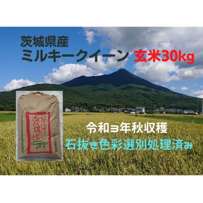 【8～9月発送】【令和3年産】ミルキークイーン冷めても美味しいもちもちなお米(玄米)30kg