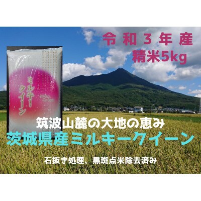 5月中旬より発送【令和3年産ミルキークイーン】 精米 5kg　冷めても美味しいお米