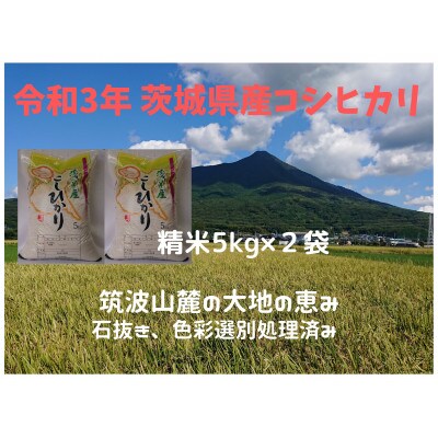 【12月発送】精米10kg(5kg×2袋) 令和3年土浦市産コシヒカリ ホタルが舞う里のお米