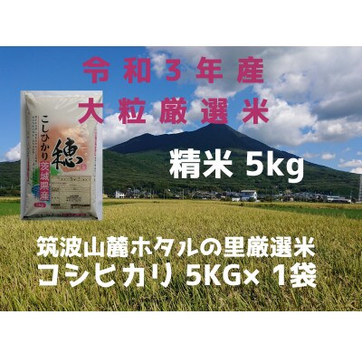 【1月22日～31日発送】筑波山麓ホタルの里厳選精米コシヒカリ5kg　透き通った大粒米