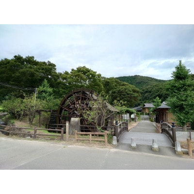 【1月22日～31日発送】筑波山麓ホタルの里厳選精米コシヒカリ5kg　透き通った大粒米