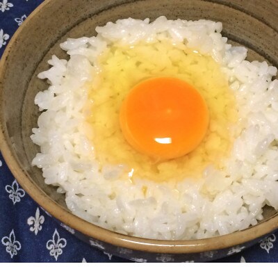 【3月下旬から発送】特A評価地区の筑波山麓ホタルの里厳選米コシヒカリ5kg　透き通った大粒米