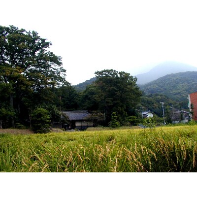 【3月中旬より発送】玄米30kg、宝篋山麓東城寺産米ほしじるし 大粒の美味しいお米