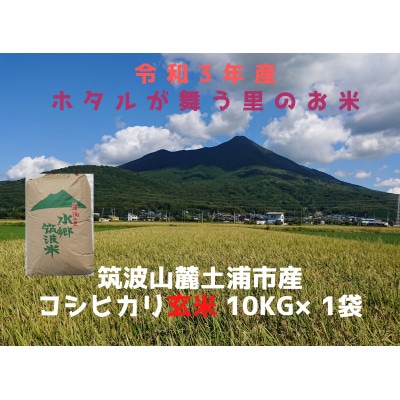 2月中旬より発送【筑波山麓】茨城県産コシヒカリ玄米10kg　石抜き・色彩選別機処理済み