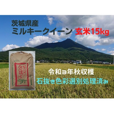 【6月中旬より発送】【令和3年産】ミルキークイーン冷めても美味しいもちもちなお米(玄米)15kg