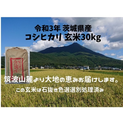 【2月発送】3年筑波山周辺産コシヒカリ玄米30kg石抜き・色彩選別機処理済み