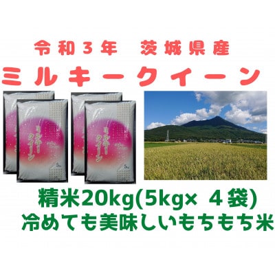 6月中旬より発送【3年茨城県産ミルキークイーン】冷めても美味しいお米 精米20kg(5kg×4袋)