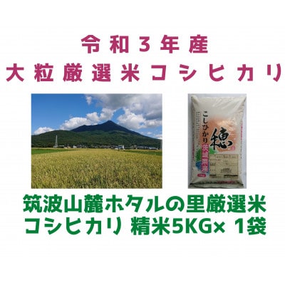 【5月中旬から発送】特A※評価地区 筑波山麓ホタルの里厳選米コシヒカリ5kg　透き通った大粒米