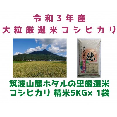 【6月中旬から発送】特A※評価地区 筑波山麓ホタルの里厳選米コシヒカリ5kg　透き通った大粒米