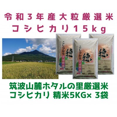 【4月中旬から発送】特A※評価地区 筑波山麓ホタルの里厳選米コシヒカリ15kg　透き通った大粒米