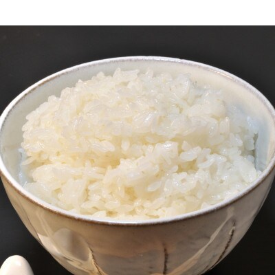 【10月下旬発送】特A※評価地区 筑波山麓ホタルの里厳選米コシヒカリ15kg　透き通った大粒米