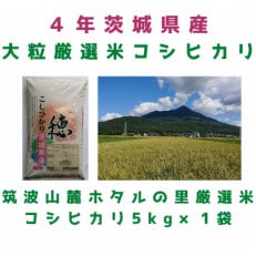 【順次発送】4年産筑波山麓ホタルの里厳選米コシヒカリ5kg　透き通った大粒米