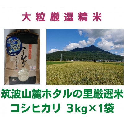 【10月下旬より順次発送】5年産筑波山麓ホタルの里コシヒカリ3kg　厳選し透き通った大粒米