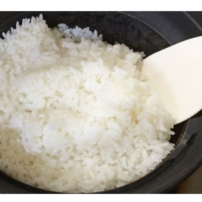 【6月中旬から発送】未検査茨城県産玄米30kg　色彩選別・石抜き処理済み