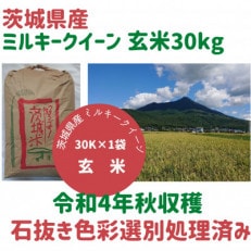 4年産米【12月中旬から発送】玄米30kg 茨城県産ミルキークイーン 冷めても美味しいもちもちなお米