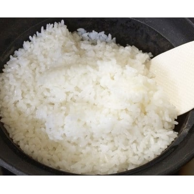 4年産受付【11月中旬から発送】筑波山周辺産コシヒカリ玄米30kg石抜き・色彩選別機処理済み