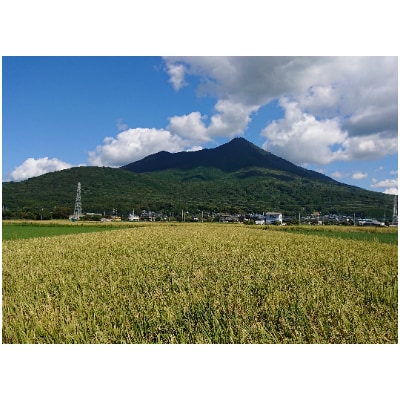 4年産【9月中旬より発送】精米5kg×2袋、計10kg　土浦市産コシヒカリ　ホタルが舞う里のお米