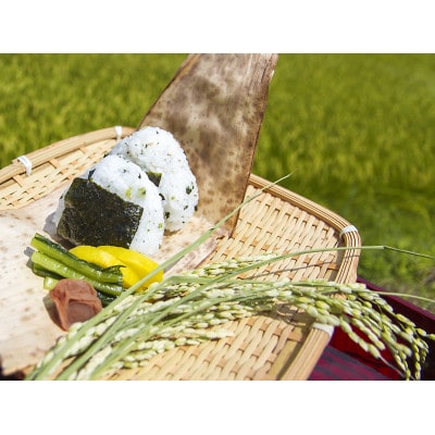 【順次発送】4年茨城県産ミルキークイーン精米2kg　冷めても美味しいもちもちなお米