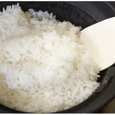 1月中旬より順次発送 玄米30kg、筑波産東城寺産米ほしじるし 大粒の美味しいお米。色彩選別機処理済