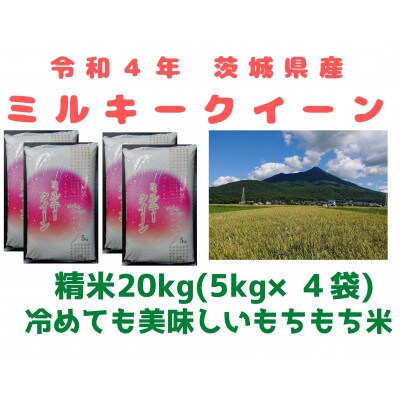 【7月中旬～順次発送】4年茨城県産ミルキークイーン 精米20kg　冷めても美味しいお米