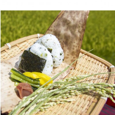 【4月中旬より順次発送】茨城県産ミルキークイーン 玄米30kg 冷めても美味しいもちもちなお米