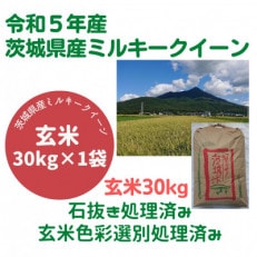 新米【9月下旬以降順次発送】茨城県産ミルキークイーン玄米30kg 冷めても美味しいもちもちなお米