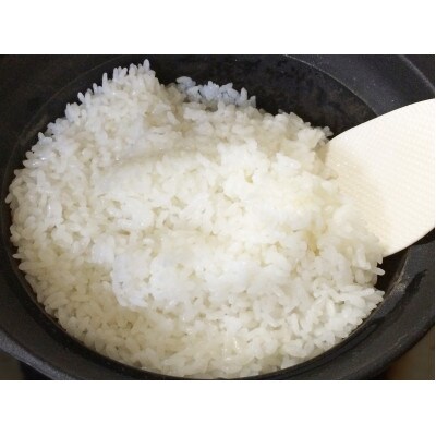 【5月中旬より発送】筑波産東城寺産米ほしじるし 玄米30kg 大粒の美味しいお米 色彩選別機処理済